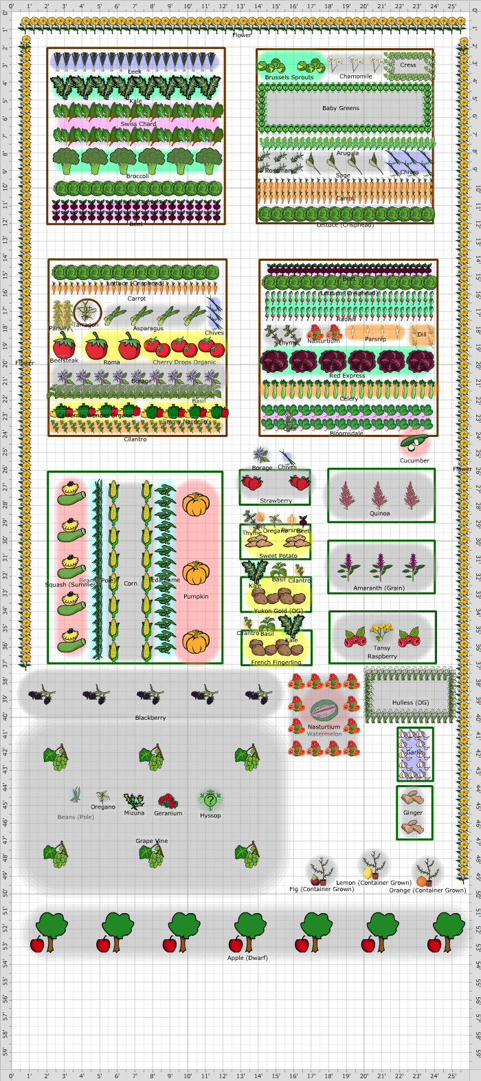 companion garden planner